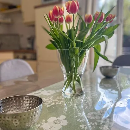 Friesenperle By Interhome *