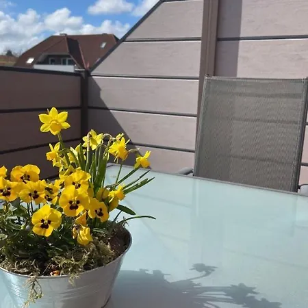 Friesenperle By Interhome Tatil Evi *